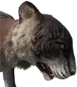 Selvagarra enorme