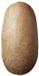 Ovo