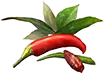 Especiarias