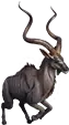 Taxidermia de kudu