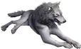 Taxidermia de lobo