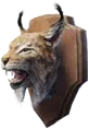Trofeo di lince