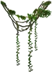 藤蔓