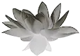 Flor de loto escarchado