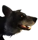 Cão-feroz