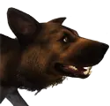 Cão-feroz
