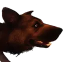 Cão-feroz
