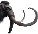 Mamute domesticado