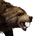 Urso domesticado