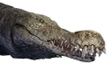 Crocodilo enorme
