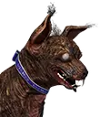 Festlich geschmückter Schoßhund