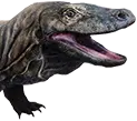 Komodo domesticado