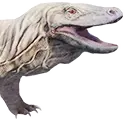Komodo alfa domesticado