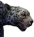 Jaguar enorme