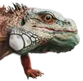 Filhote de salamandra