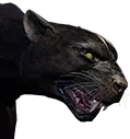 Pantera