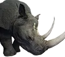 Rinoceronte