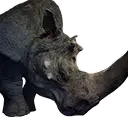 Rinoceronte enorme