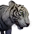 Tigre-branco