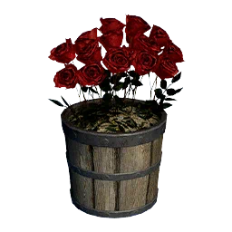 Red Rose Flower Pot