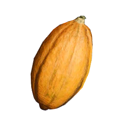 Cacao