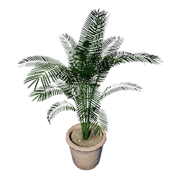 Palm Tree Pot