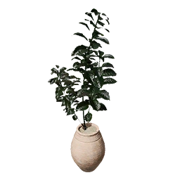 Laurel Pot