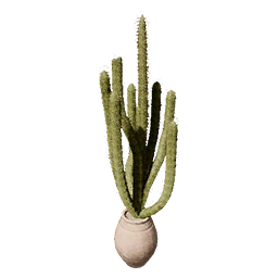Desert Cactus Pot