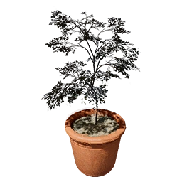 Apple Tree Pot