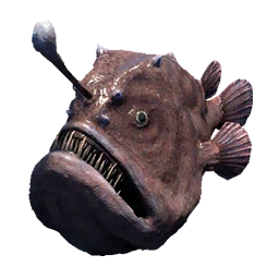 Anglerfish