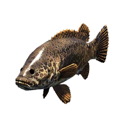 Leopard Perch