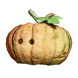 Copricapo di zucca