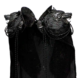 Goyen's Cloak