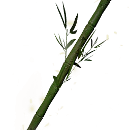 堅硬的新木竹枝