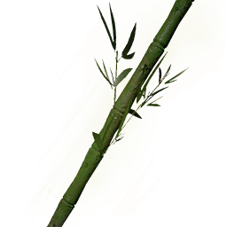 堅硬的秀木竹枝