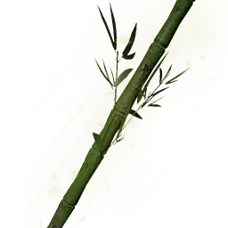 堅硬的成木竹枝