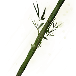 堅硬的巨木竹枝