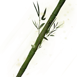 堅硬的古木竹枝
