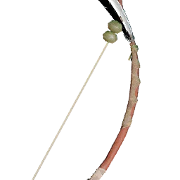 Kızıl Muhafız Yayı