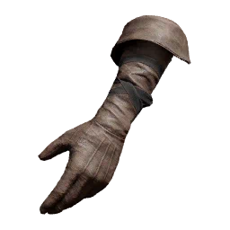 Naira's Gloves