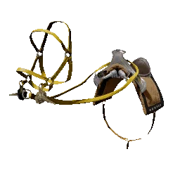 Hernandian Saddle