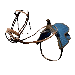 Blue Scout Saddle