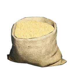 Orzo