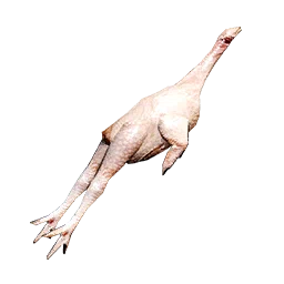 Bird Meat