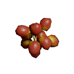 Coffee Cherry