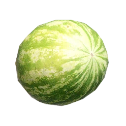 Desert Melon