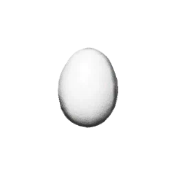 Egg