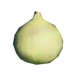Fennel