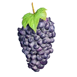 Grape