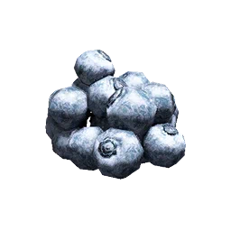 Blueberry